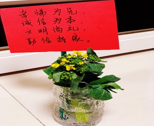 孝悌为先,诚信为本 孝悌为先,诚信为本